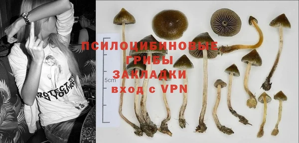 эйфоретик Бронницы